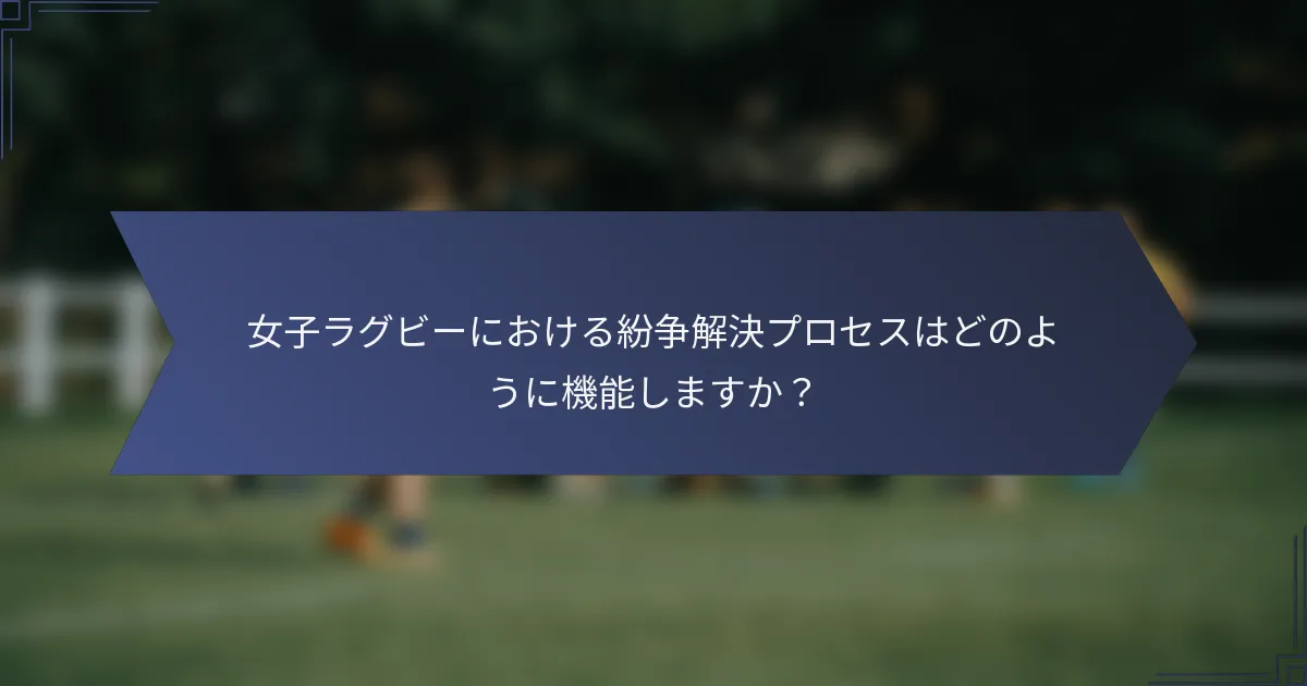 女子ラグビーにおける紛争解決プロセスはどのように機能しますか？