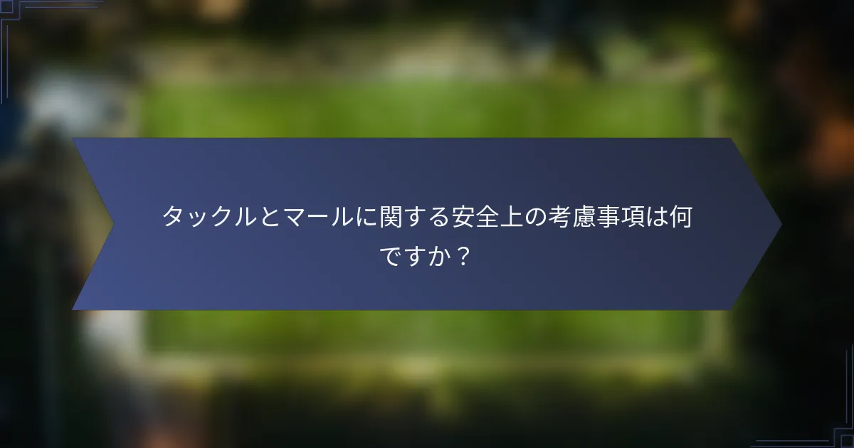 タックルとマールに関する安全上の考慮事項は何ですか？